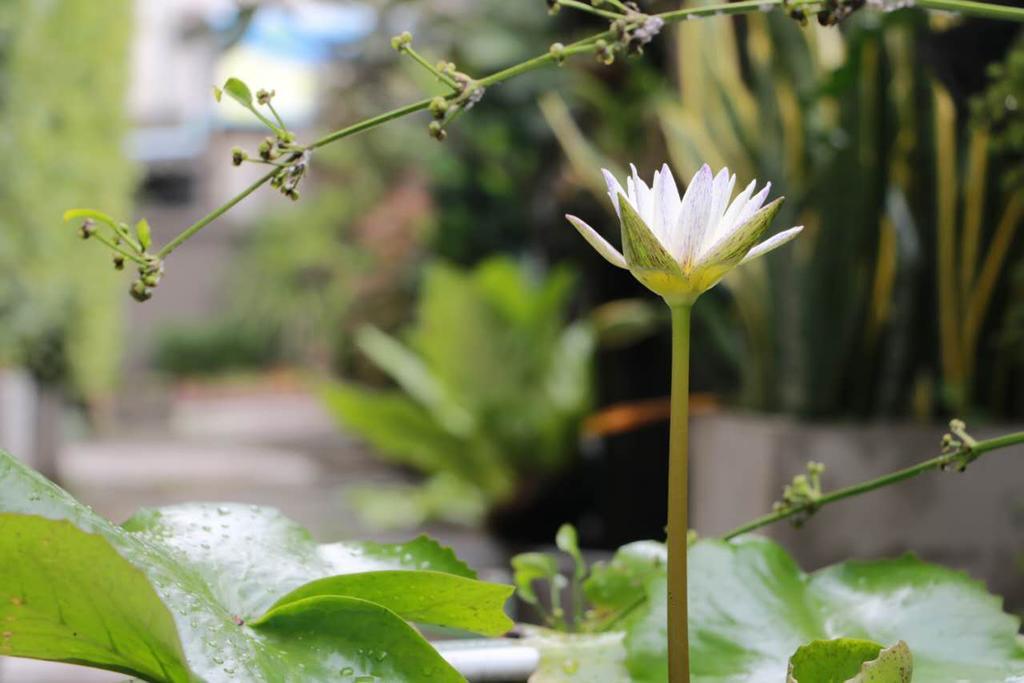 Namnon Place Nonthaburi Ngoại thất bức ảnh